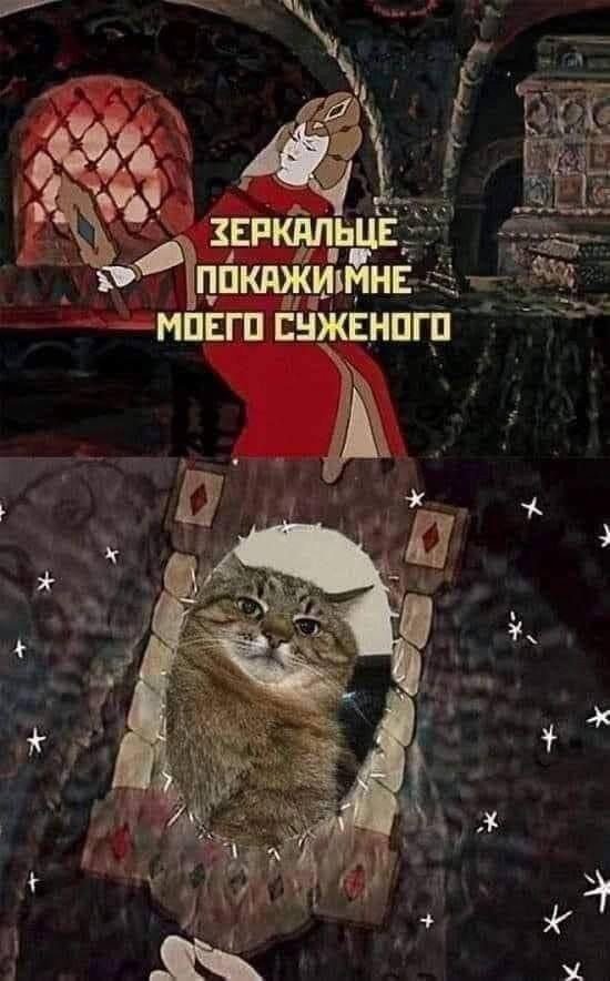 Смешные картинки - 17.03.2025