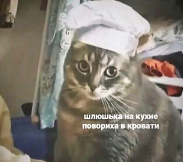 Лучшие шутки и мемы из Сети - 18.03.2025