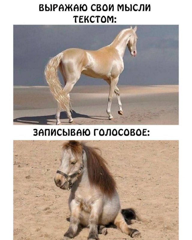 Смешные картинки - 19.03.2025