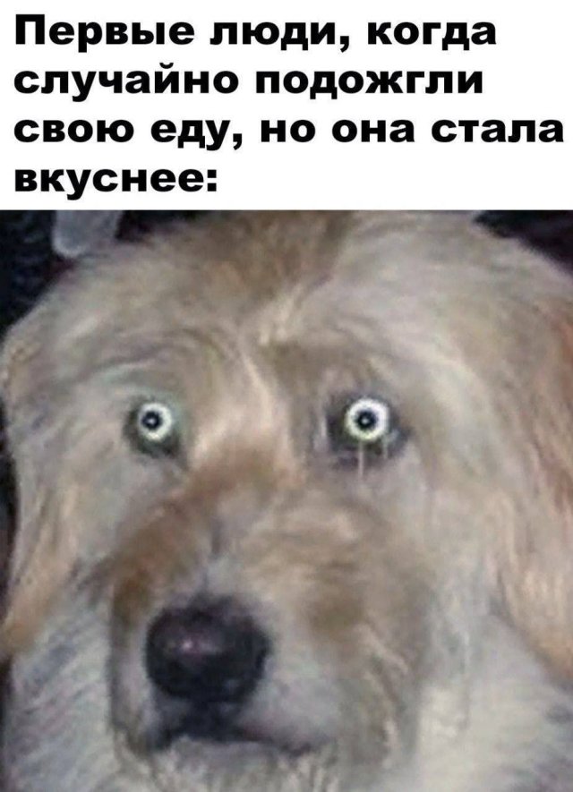 Смешные картинки - 19.03.2025