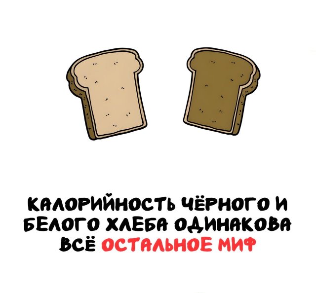 Интересные факты на все случаи жизни