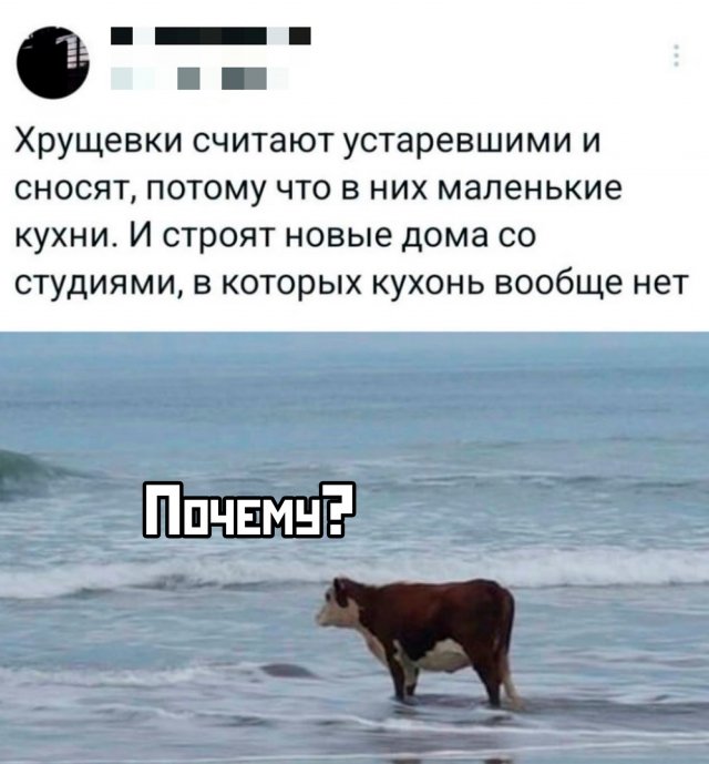 Подборка картинок. Вечерний выпуск - 24.03.2025
