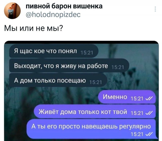 Подборка забавных твитов обо всем