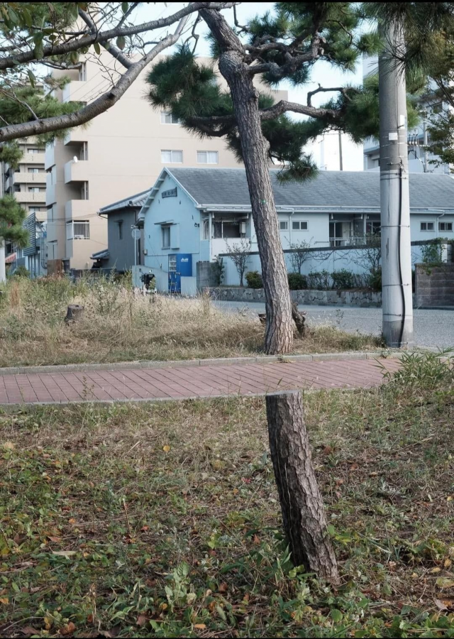 Неплохо Неплохо