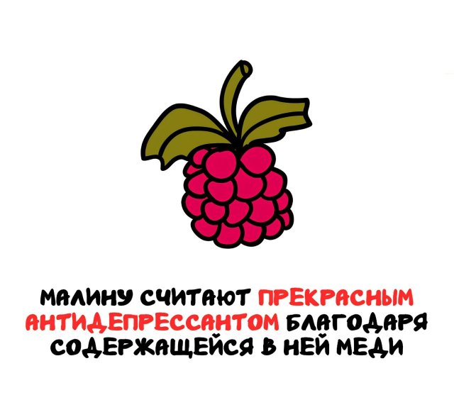 Интересные факты на все случаи жизни