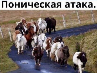 Смешные картинки - 09.04.2025
