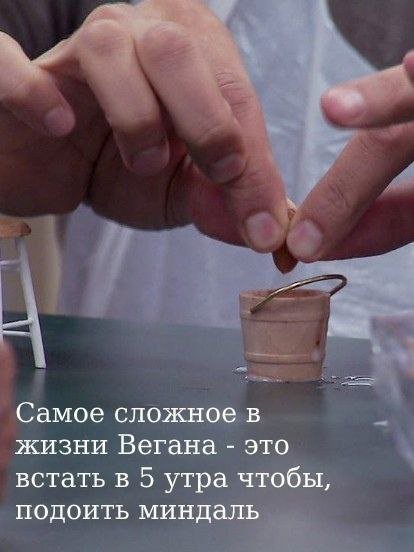 Лучшие шутки и мемы из Сети - 11.04.2025