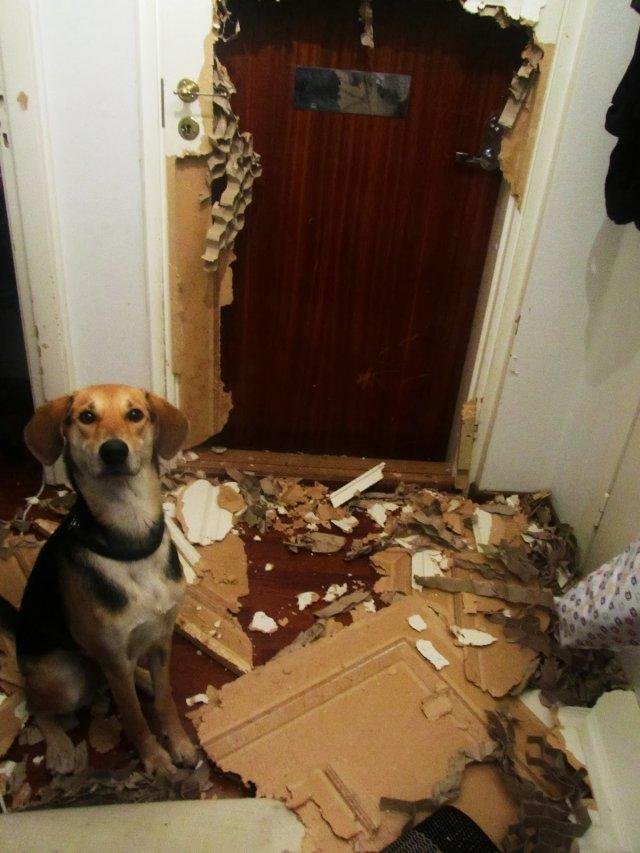 Неприятности случаются