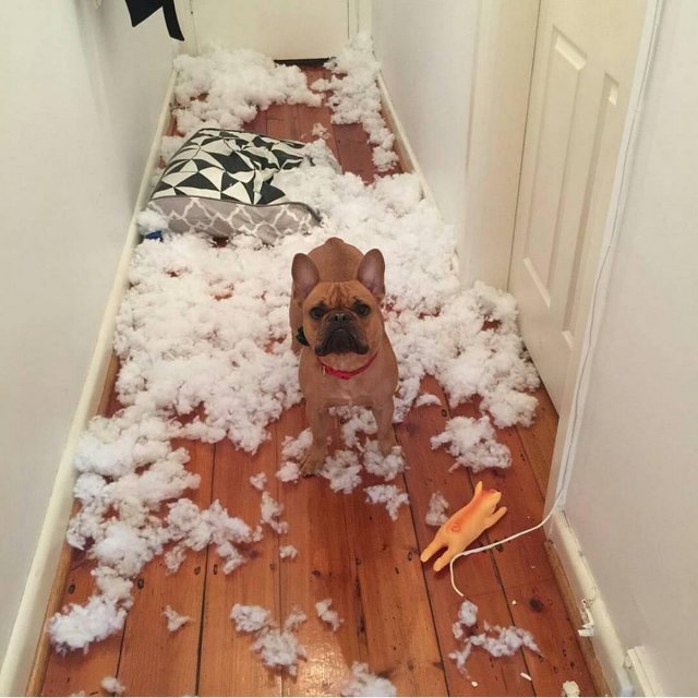 Неприятности случаются