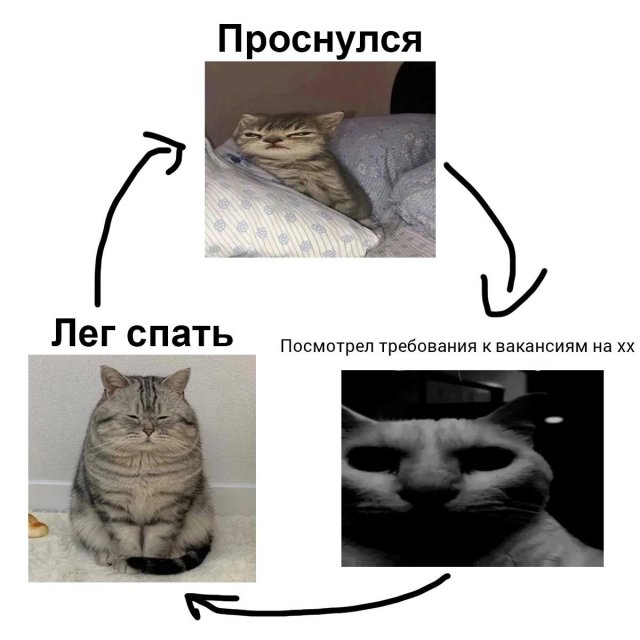 Смешные мемы - 16.04.2025