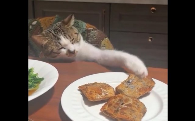 Ты что себе позволяешь