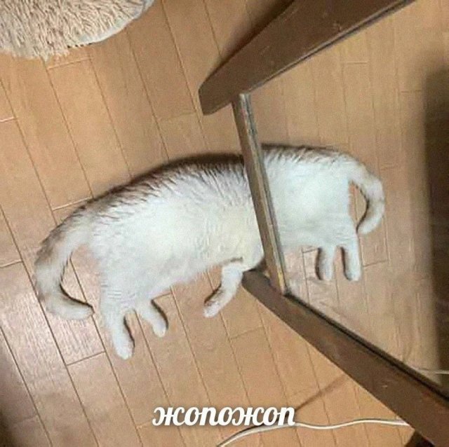 Смешные мемы - 24.04.2025