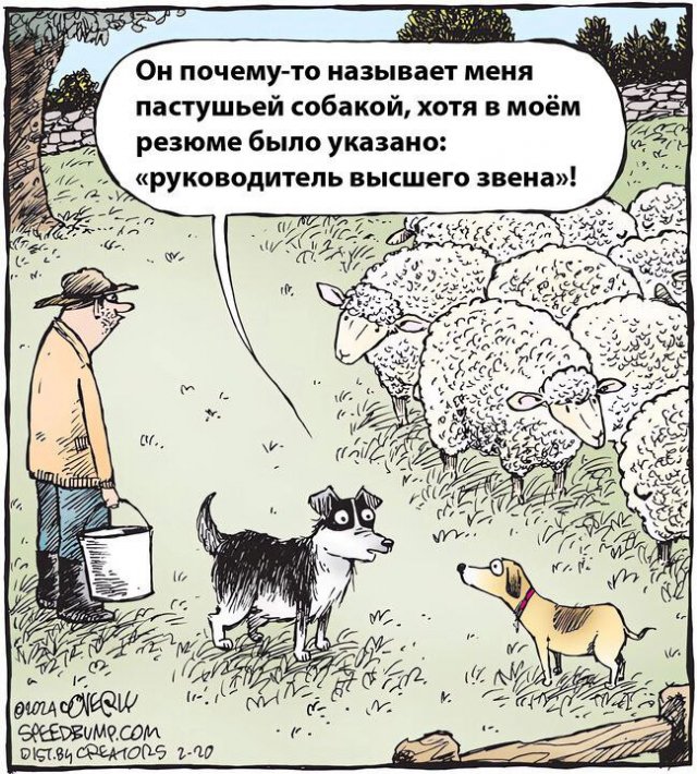 Смешные мемы - 24.04.2025