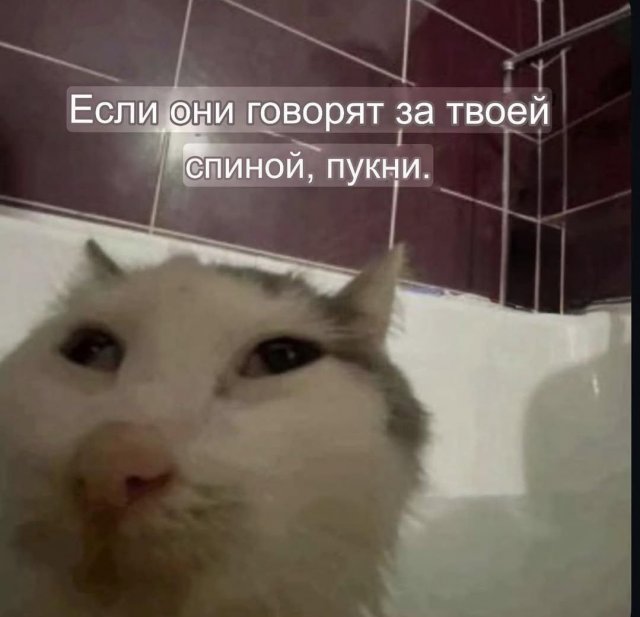 Смешные мемы - 24.04.2025