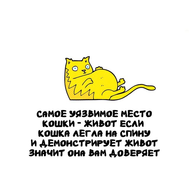 Интересные факты на все случаи жизни