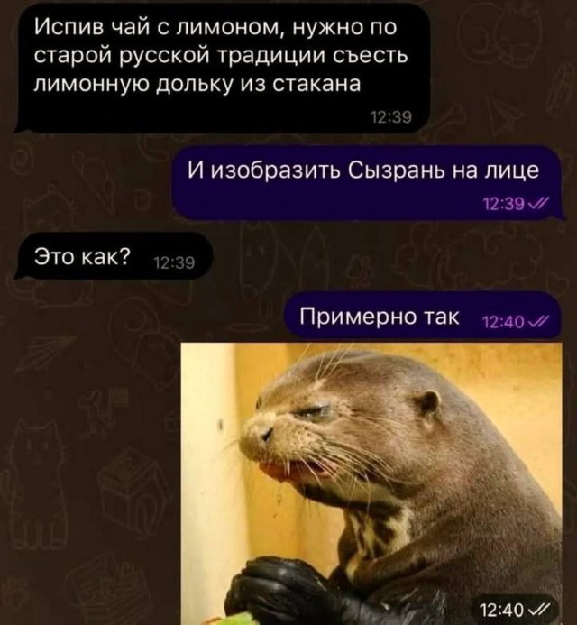 Лучшие картинки и мемы из Сети - 25.04.2025