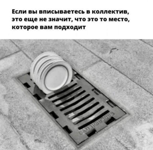 Лучшие картинки и мемы из Сети - 29.04.2025