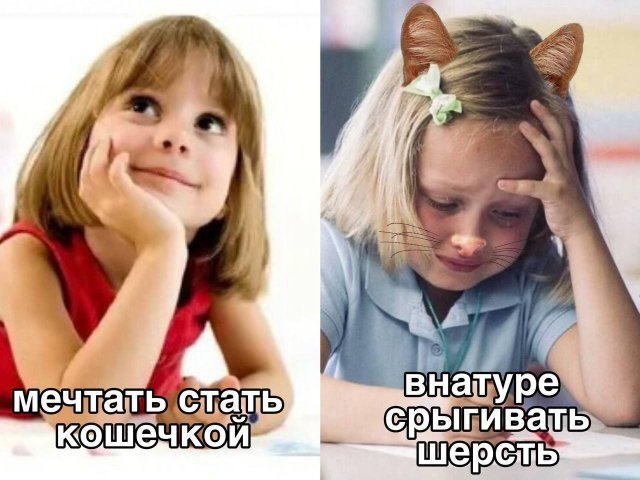 Лучшие картинки и мемы из Сети - 29.04.2025