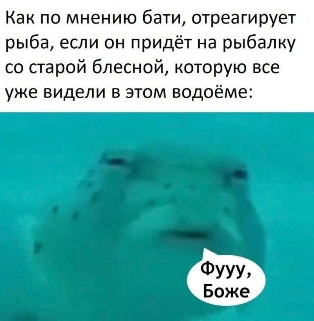 Лучшие картинки и мемы из Сети - 29.04.2025