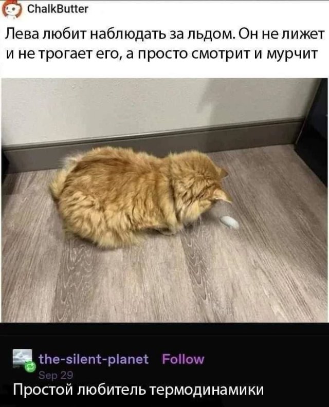 Лучшие картинки и мемы из Сети - 29.04.2025