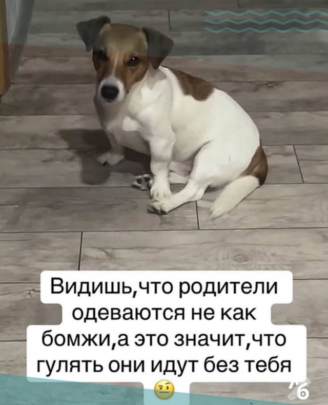 Смешные картинки - 30.04.2025
