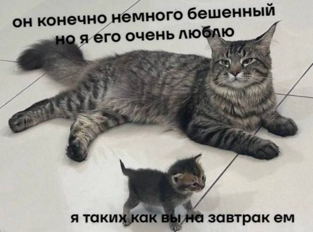 Смешные картинки - 30.04.2025