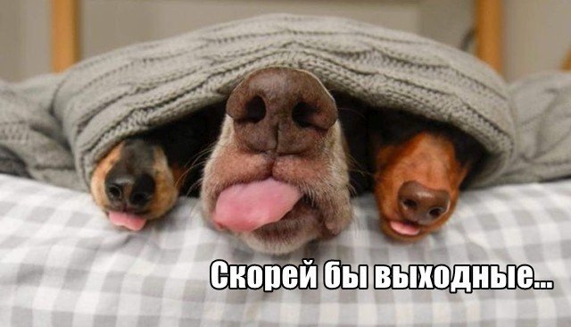 Трынделка - 30.04.2025