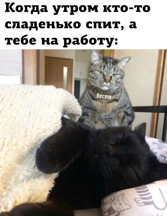 Смешные мемы - 30.04.2025