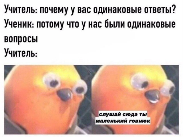 Смешные мемы - 30.04.2025