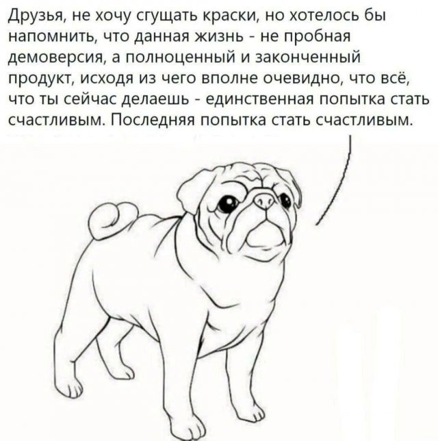 Смешные мемы - 30.04.2025