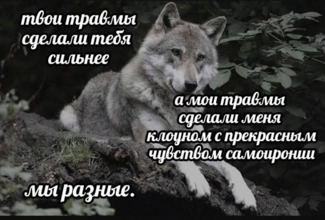 Смешные мемы - 30.04.2025