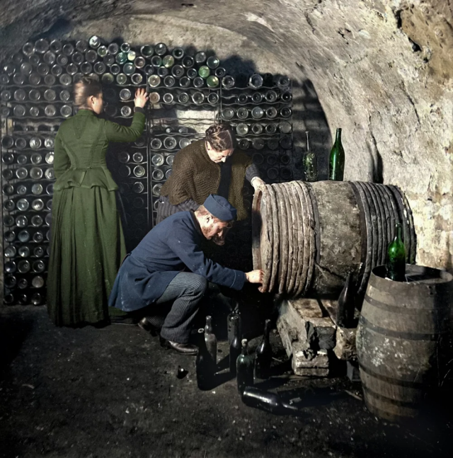 В винном подвале. Франция, 1890 год. В винном подвале. Франция, 1890 год.