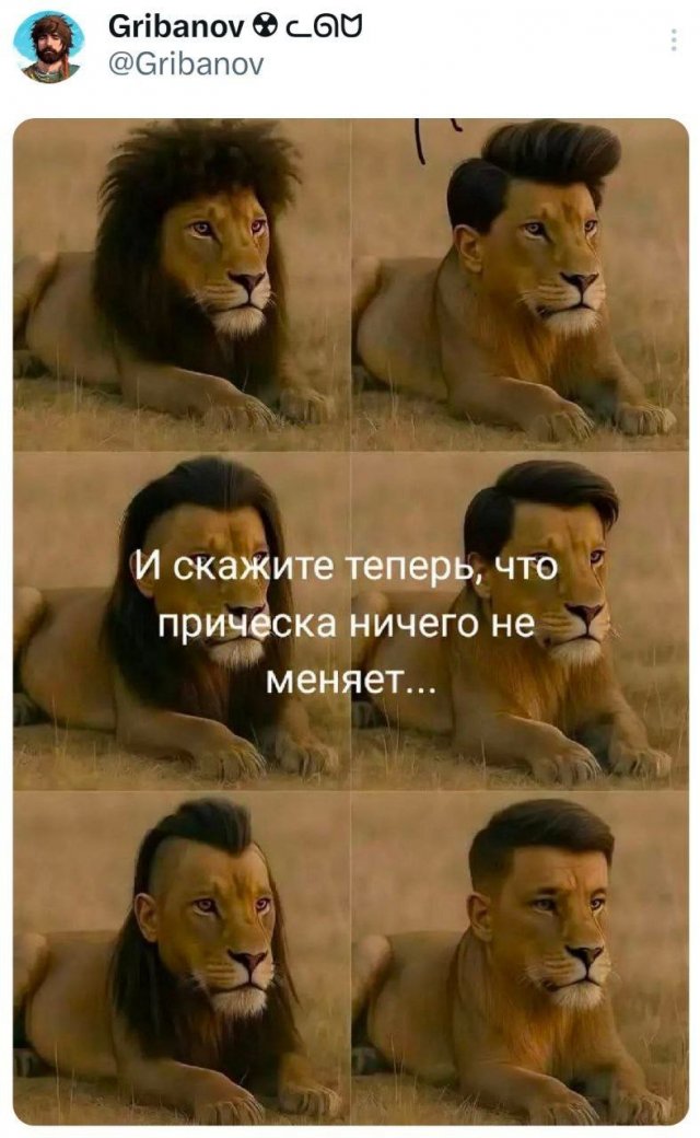 Подборка забавных твитов обо всем