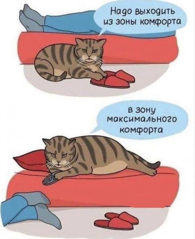 Лучшие шутки и мемы из Сети - 30.04.2025