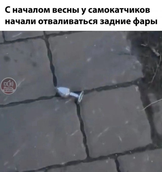 Лучшие шутки и мемы из Сети - 30.04.2025