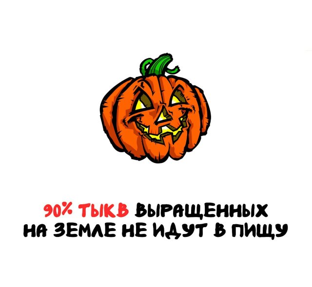 Интересные факты на все случаи жизни