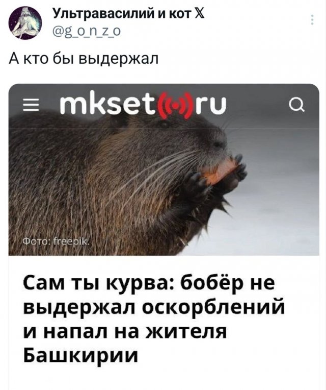 Подборка забавных твитов обо всем