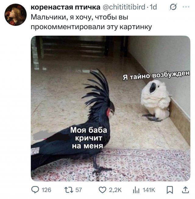 Подборка забавных твитов обо всем