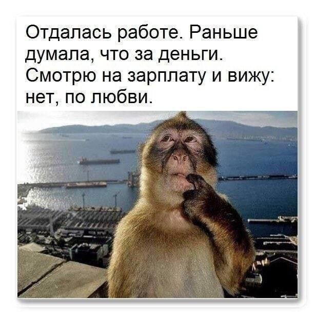 Смешные мемы - 01.05.2025