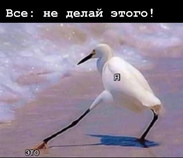 Смешные картинки - 01.05.2025