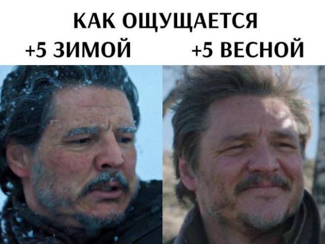 Смешные картинки - 01.05.2025