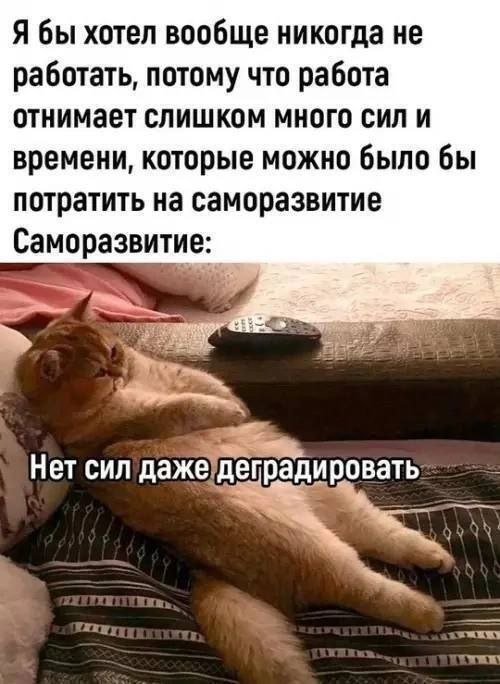 Смешные картинки - 01.05.2025