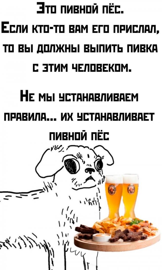 Подборка картинок. Вечерний выпуск - 01.05.2025