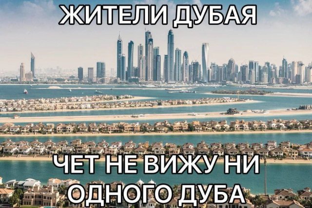 Лучшие шутки и мемы из Сети - 01.05.2025