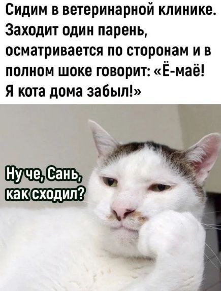 Лучшие шутки и мемы из Сети - 01.05.2025