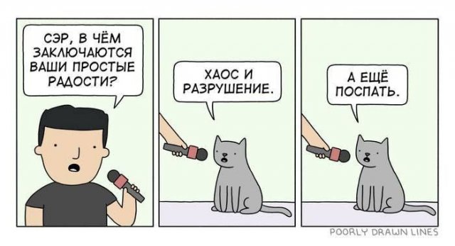 Лучшие шутки и мемы из Сети - 01.05.2025