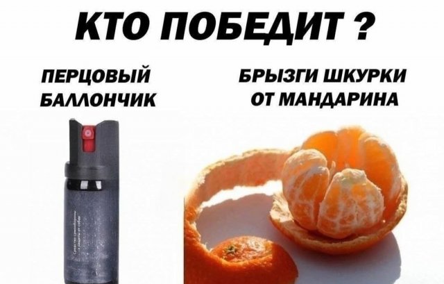 Лучшие шутки и мемы из Сети - 01.05.2025