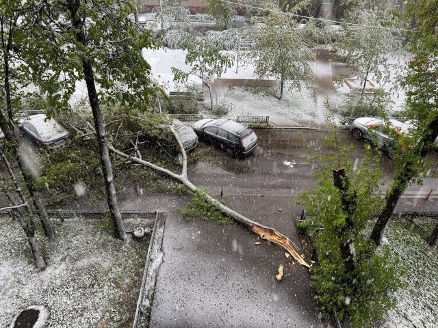Маевка в Москве: мощнейший снегопад накрыл столицу и город