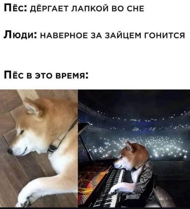 Смешные мемы - 05.05.2025