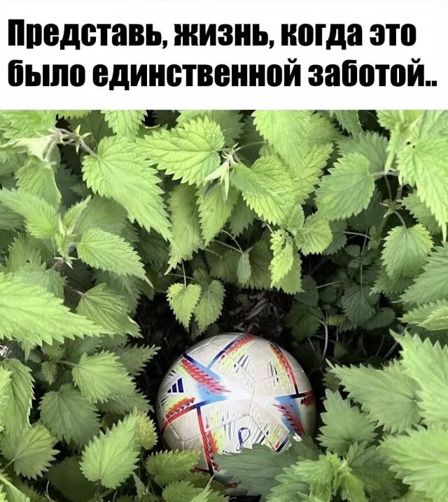 Смешные картинки - 05.05.2025